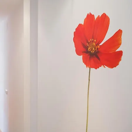 Piso Sebastian 2 Alto Solo Familias Apartment *